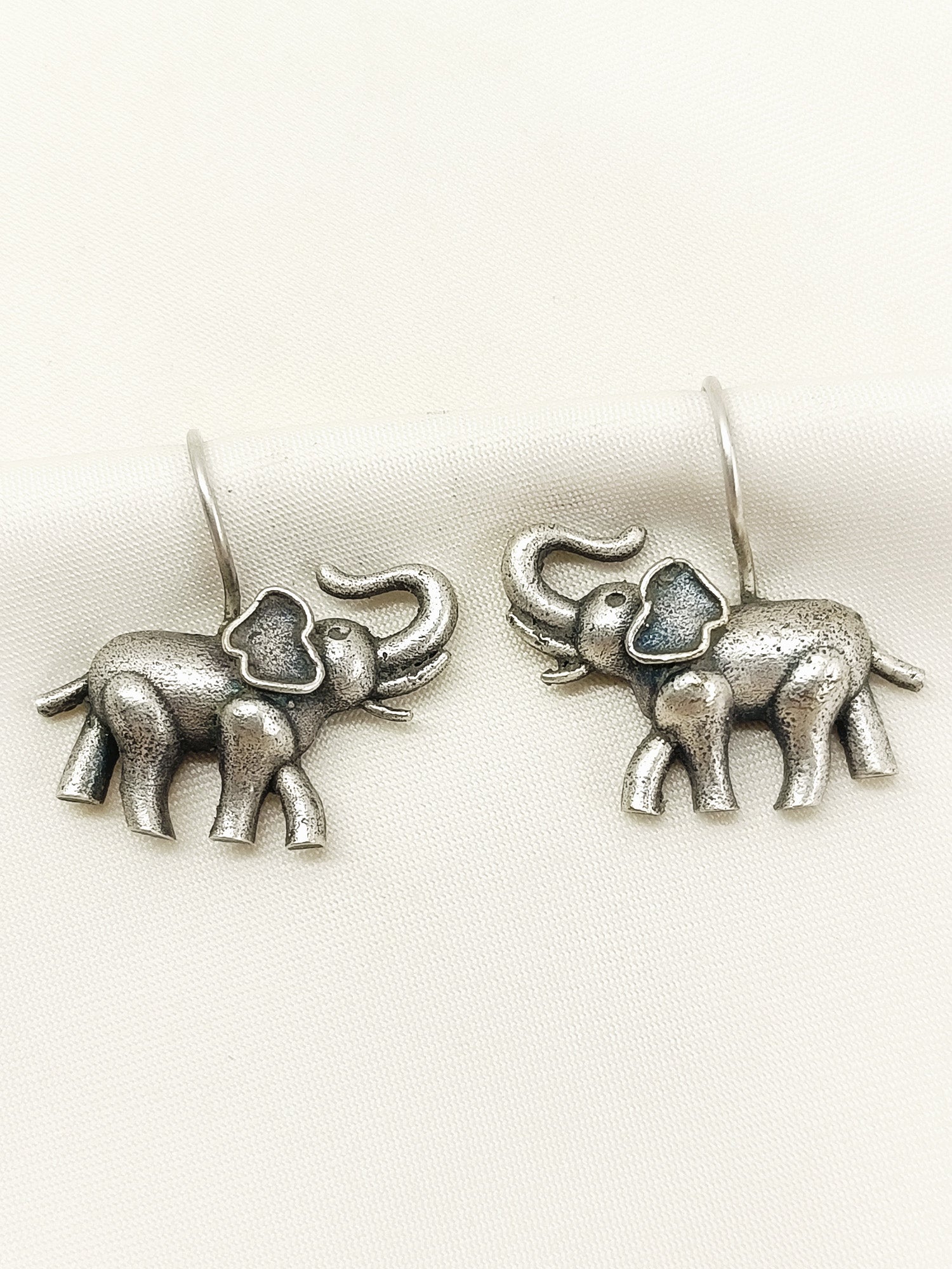 Wricha Plain Oxidized Earring