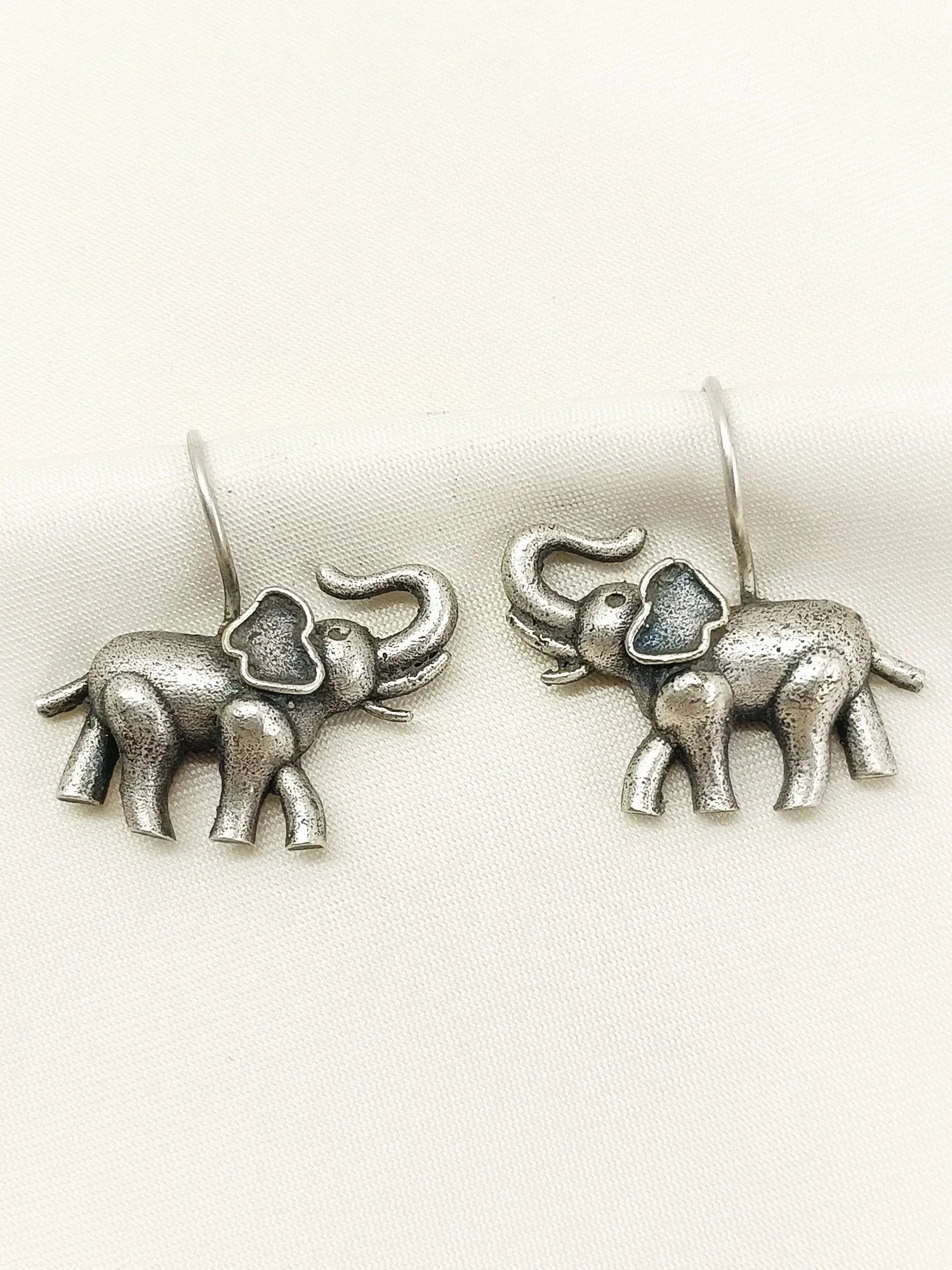 Wricha Plain Oxidized Earring