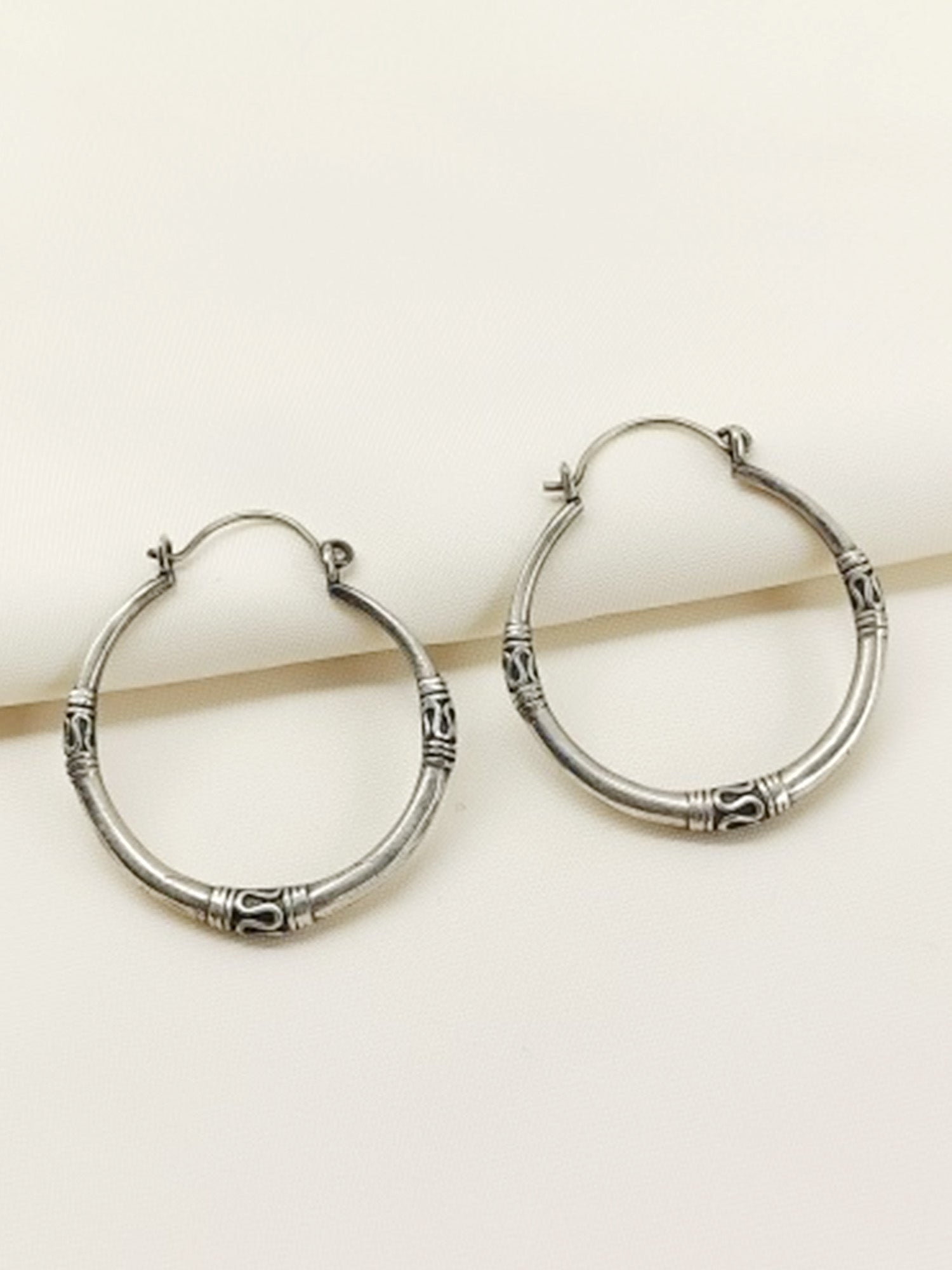 Aadhvita Plain Oxidized Earring