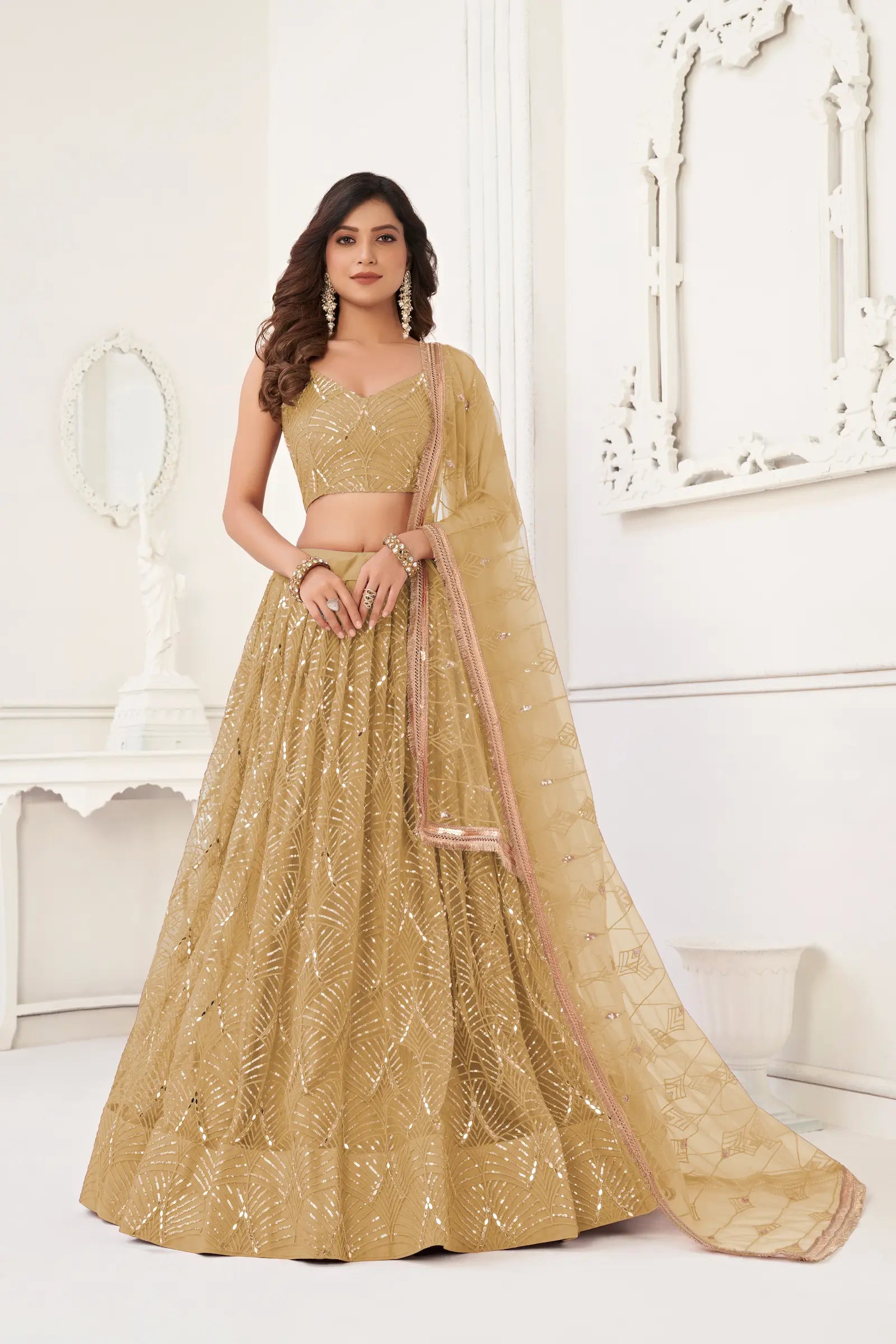Dark Beige Net Lehenga Choli Thread Work, Mirror Work & Sequence Embroidery Work - qivii