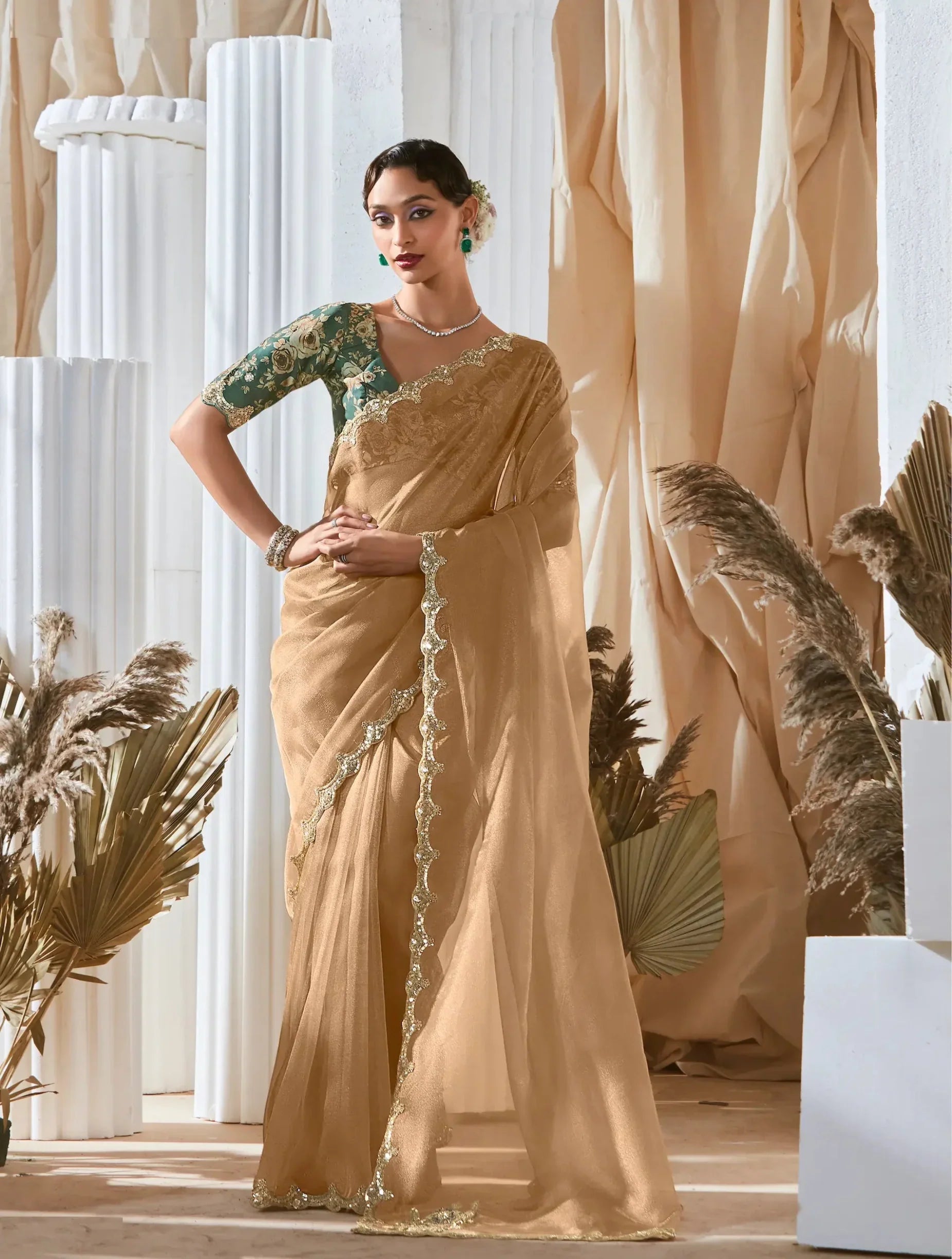 Sand Brown Fancy Tissue Embroidery Work Saree - qivii