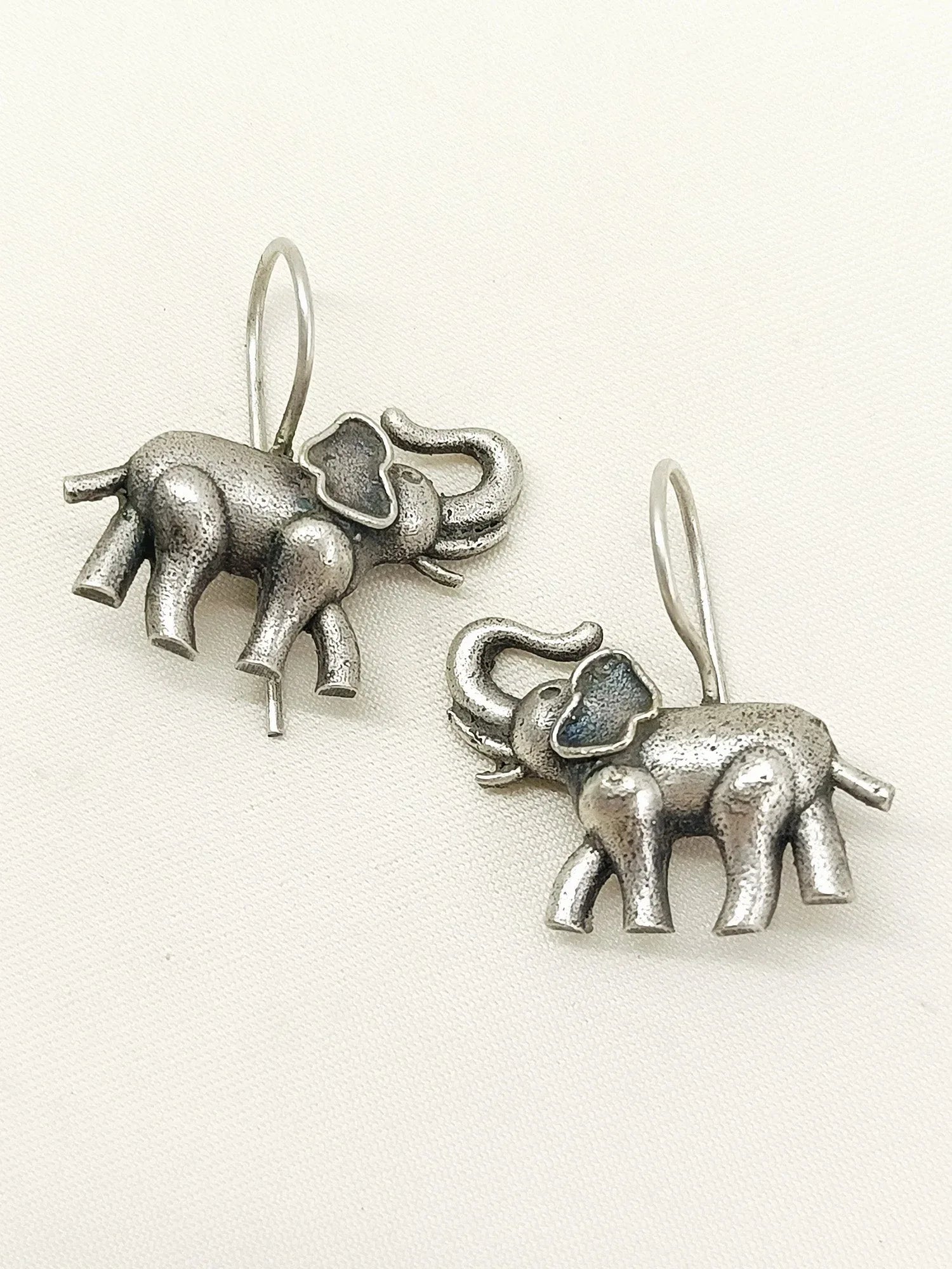 Wricha Plain Oxidized Earring