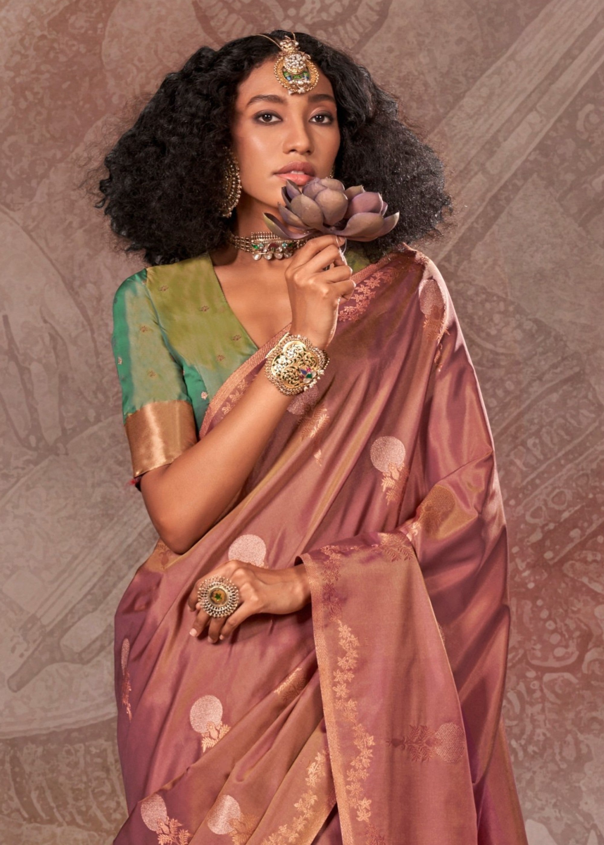 Chestnut Two Tone Handloom Weaving Silk Saree with Contrast Pallu - qivii