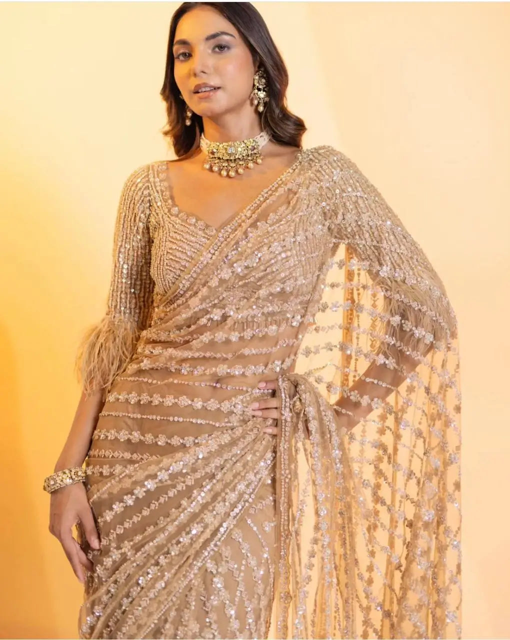 Beige Net Saree With Sequence & Thread Work - qivii