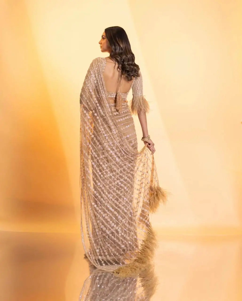 Beige Net Saree With Sequence & Thread Work - qivii