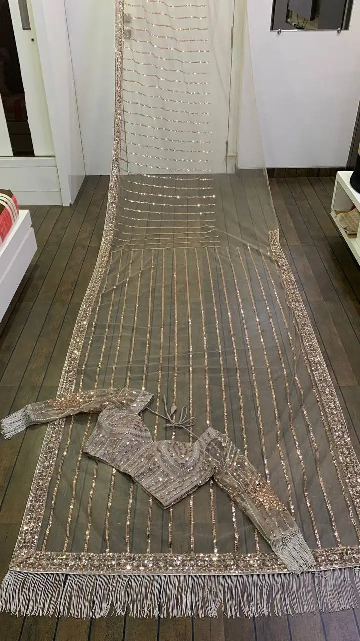 Dark Beige Net Saree With Sequins, Dori & Zari Work - qivii