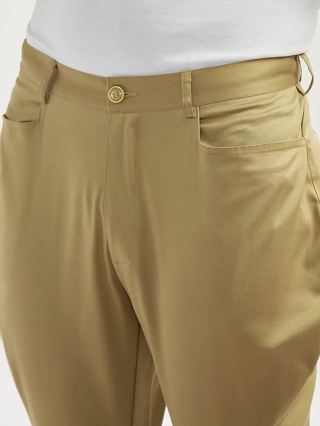 Men's Chiku - Jodhpuri pants