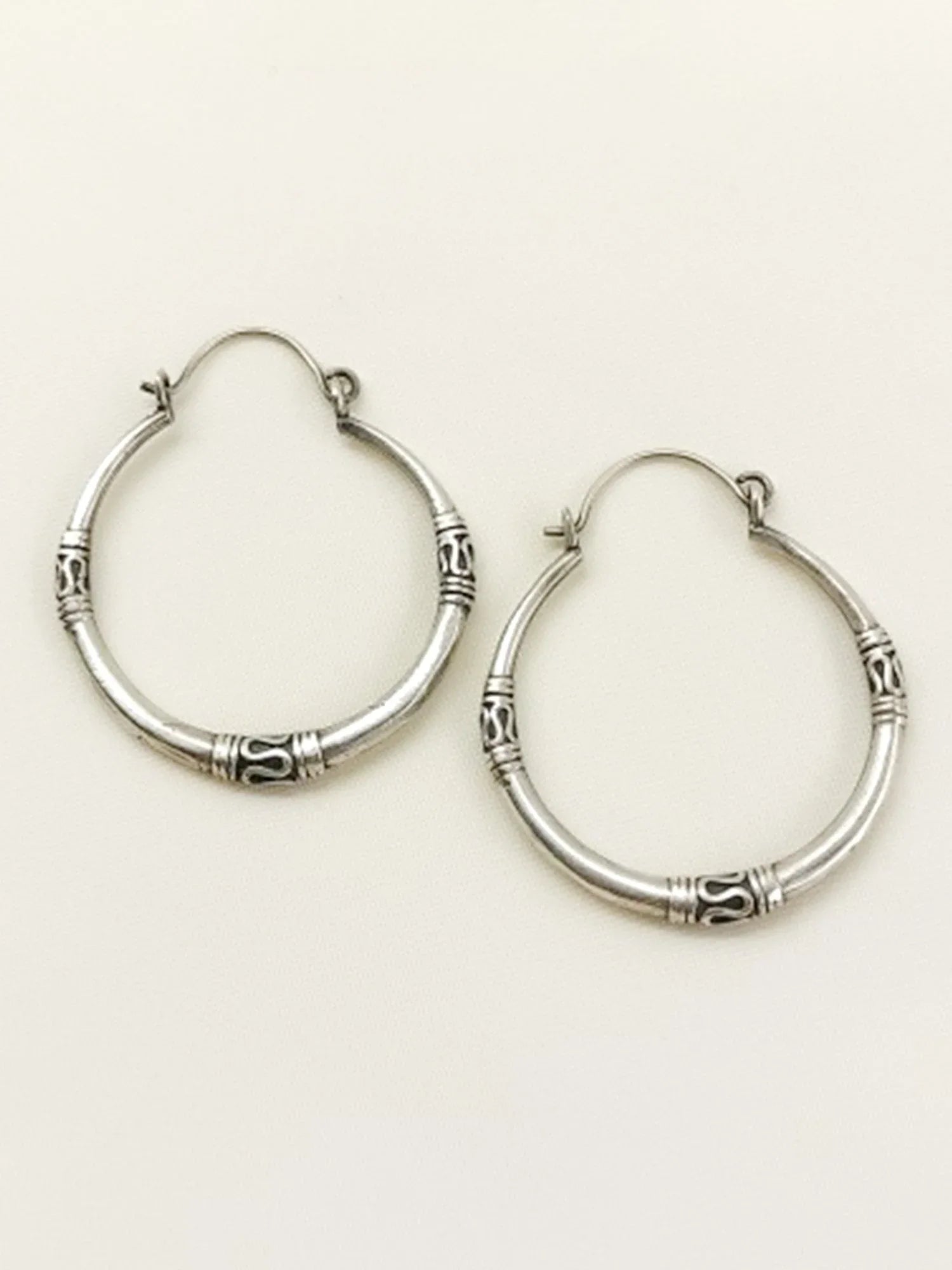 Aadhvita Plain Oxidized Earring