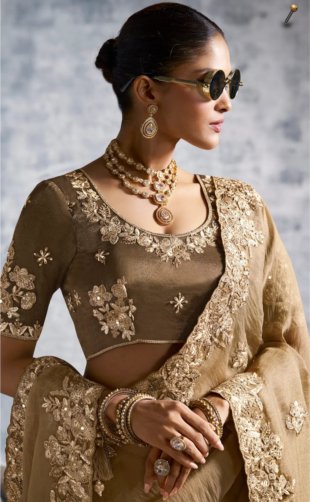 Dark Beige Zari Tissue Hand Work & Embroidery Saree