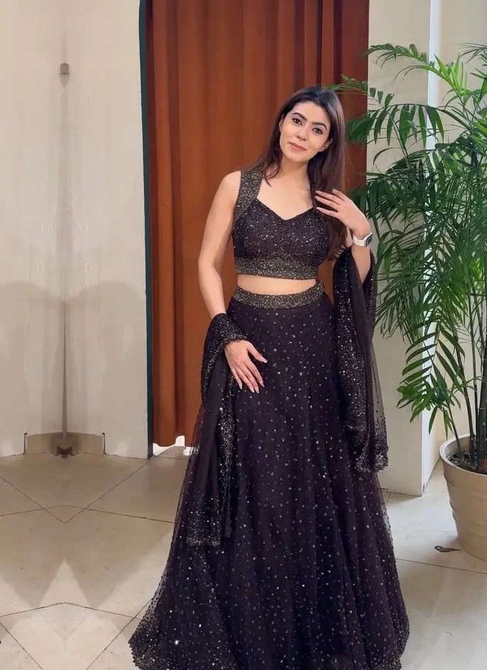 Ebony Black Net Sequins Embroidery Lehenga Choli