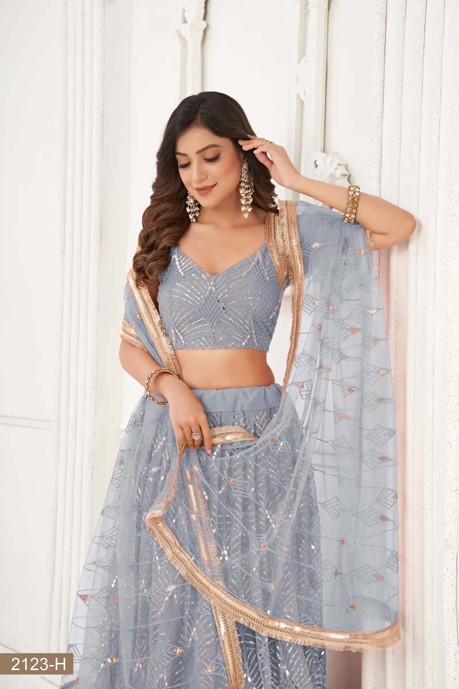 Light Grey Net Embroidery Lehenga Choli