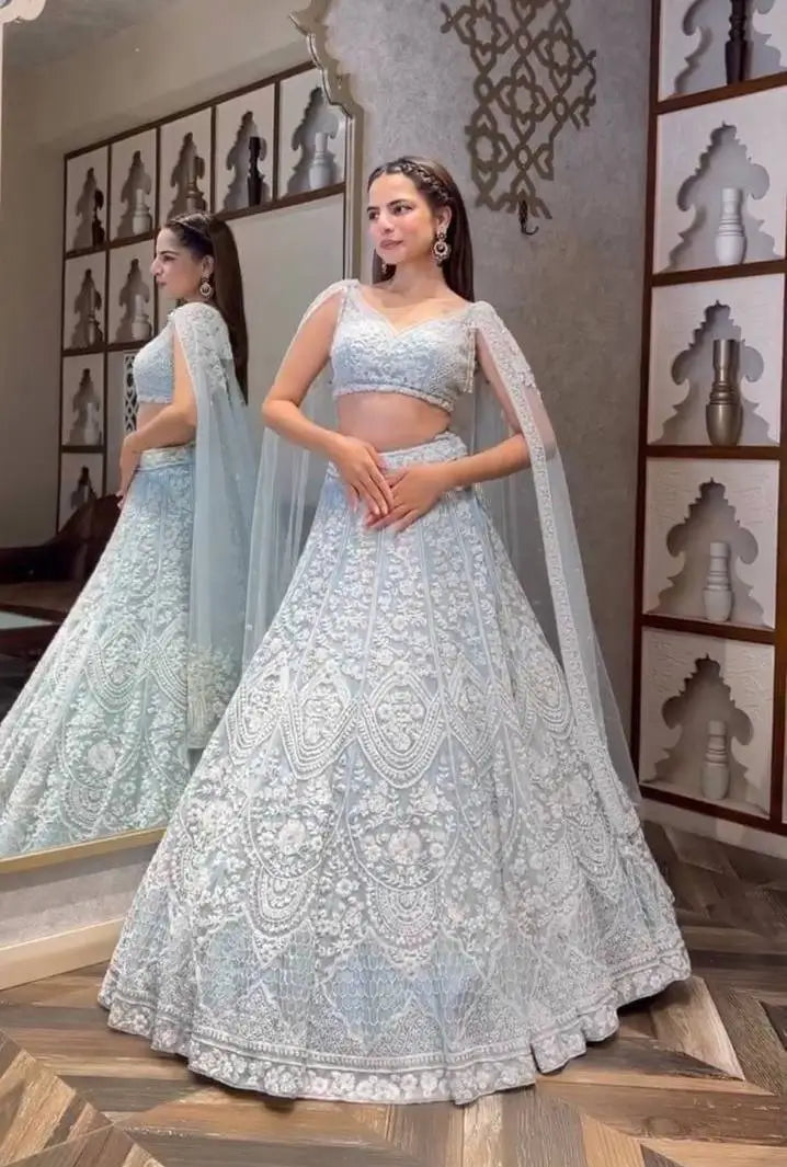 Sky Blue Net Sequence & Thread Work Lehenga Choli