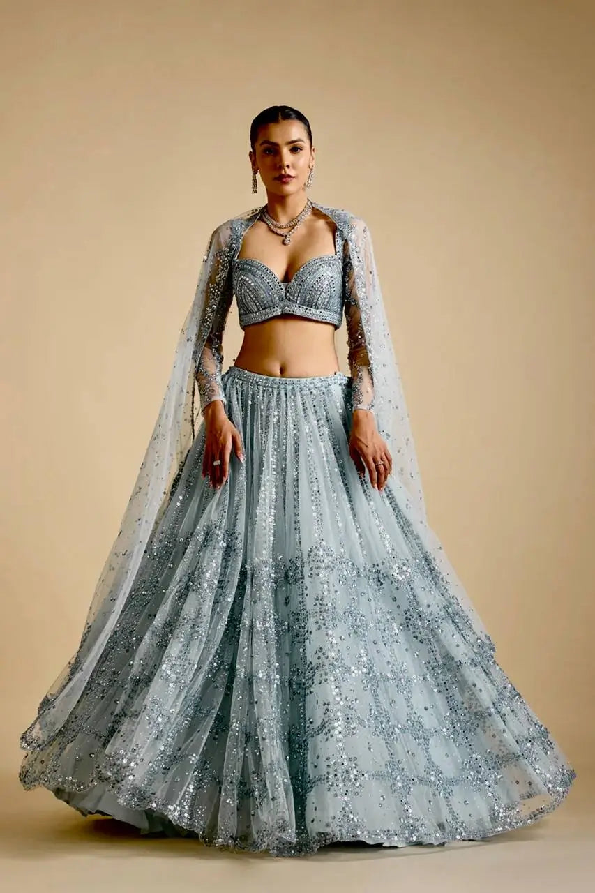 Sky Blue Net Sequence Work Lehenga Choli
