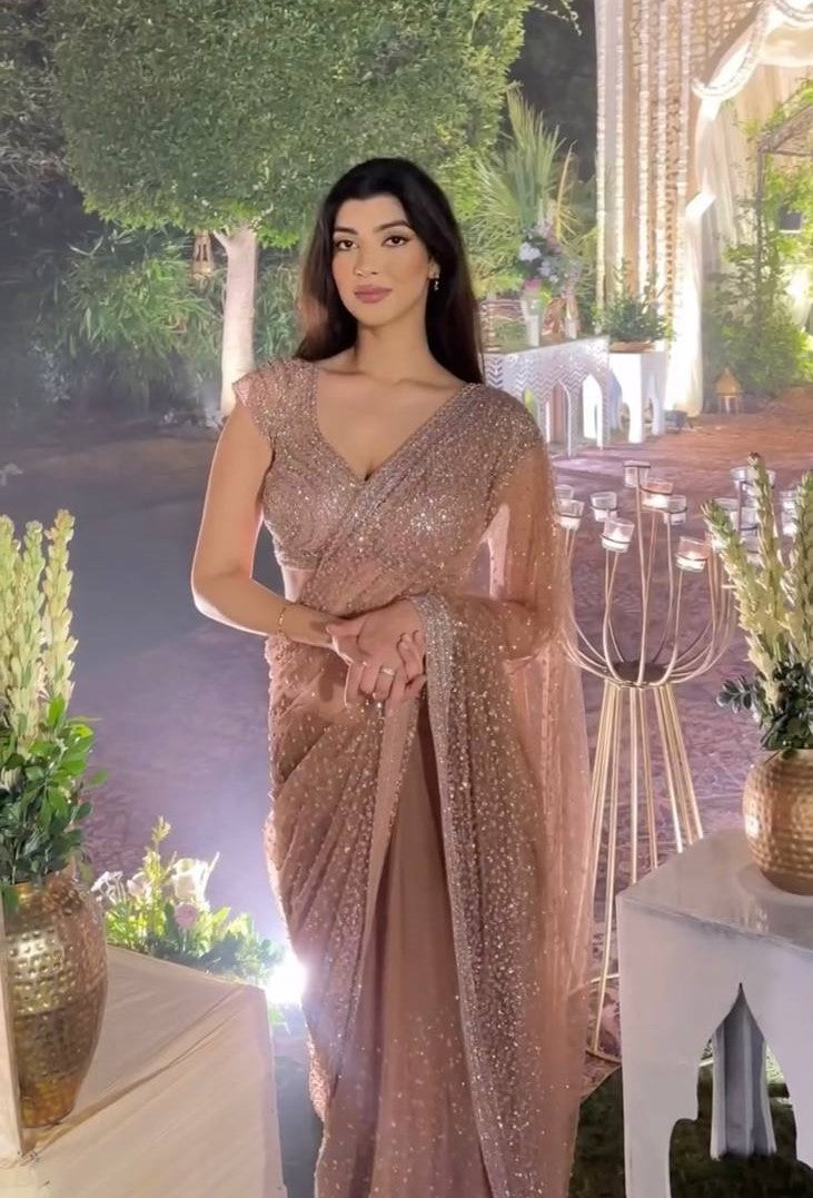 Brown Net saree with sequins & dori work - INSPIRED - qivii