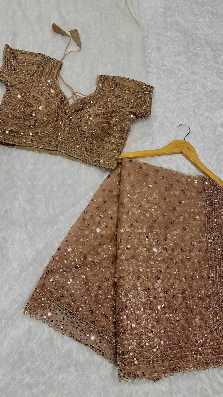 Brown Net saree with sequins & dori work - INSPIRED - qivii