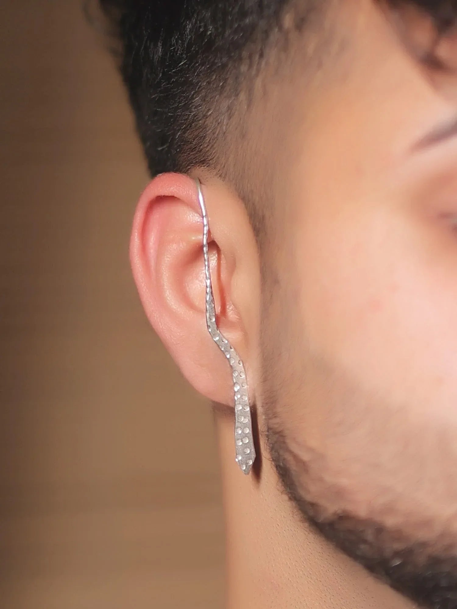Reya Silver Western Earrings