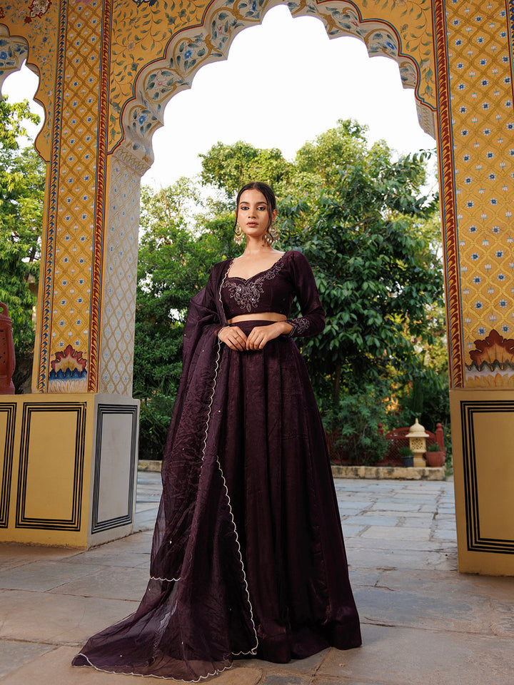 Mauve Wine Embroidered Velvet Lehenga Set with Intricate Gold Details