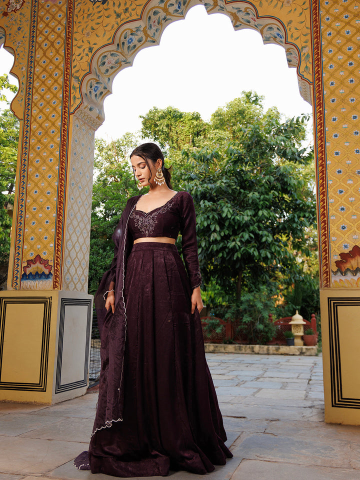 Gorgeous Mauve Wine Velvet Lehenga Set with Gold Embroidery Details