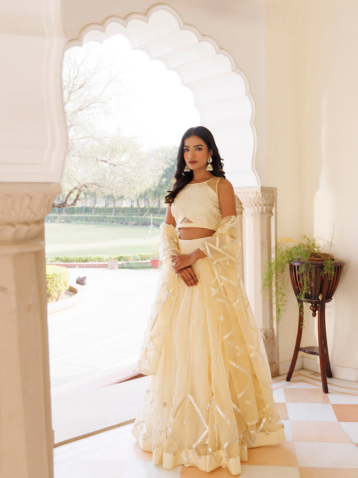 Petal Yellow Organza Lehenga Set BY RAGAVI