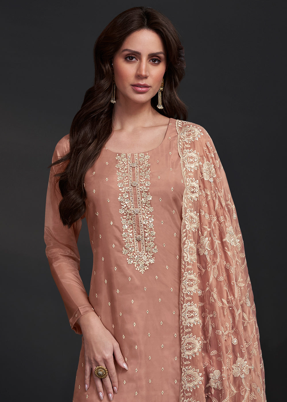 Light Brown Designer Organza Salwar Suit with Embroidery Work By Qivii