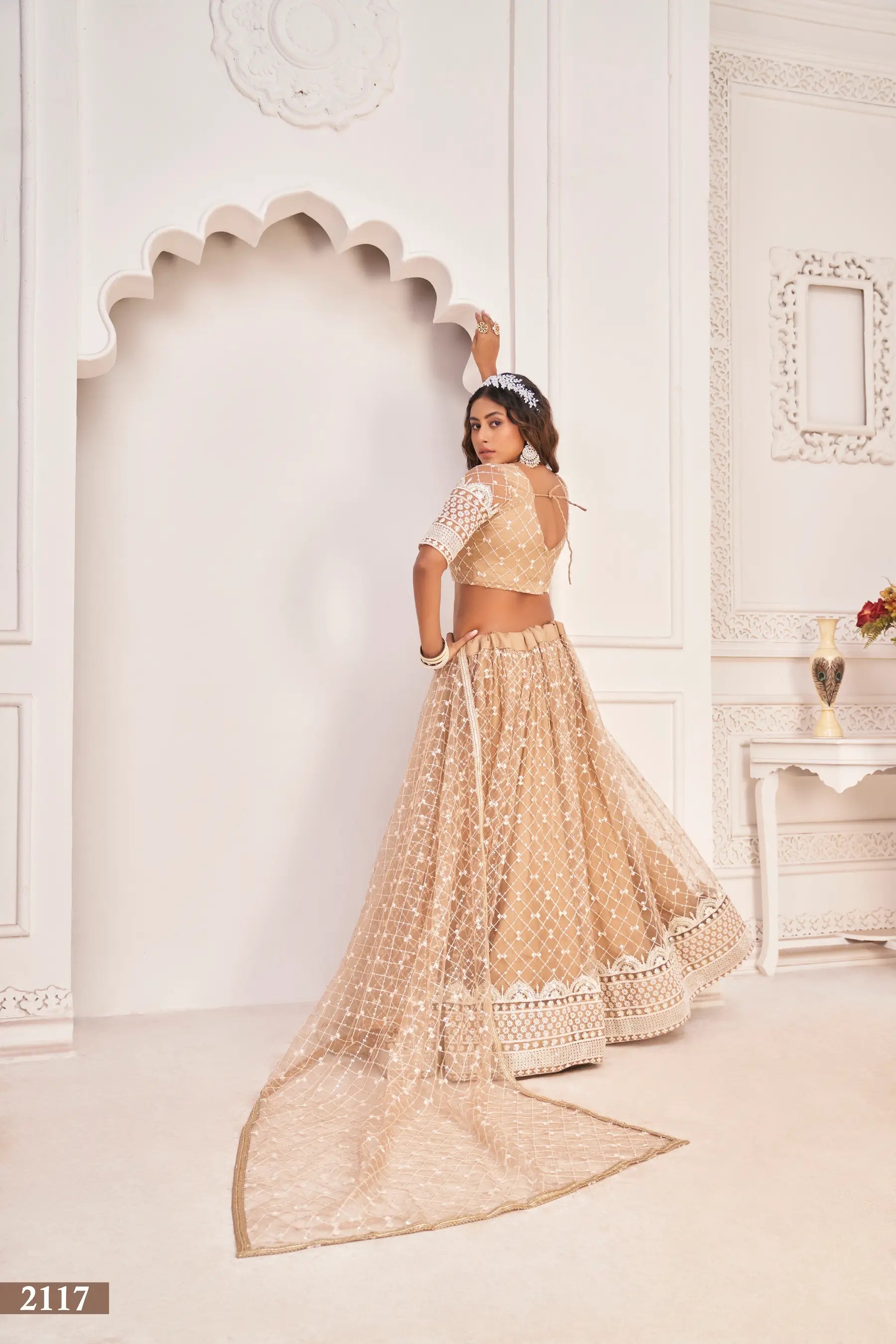 Dusty Beige Net Lehenga Choli With White Cotton Thread Work, Zari Work & Sequence Work - qivii