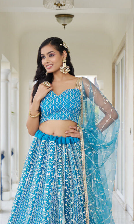 Beautiful sky blue butterfly net with intricate white cotton thread work and delicate sequence embroidery