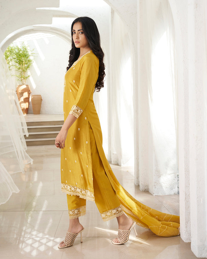 Amber Yellow Dola Silk Kurta . Paired with Santoon Straight Pants and Organza Dupatta