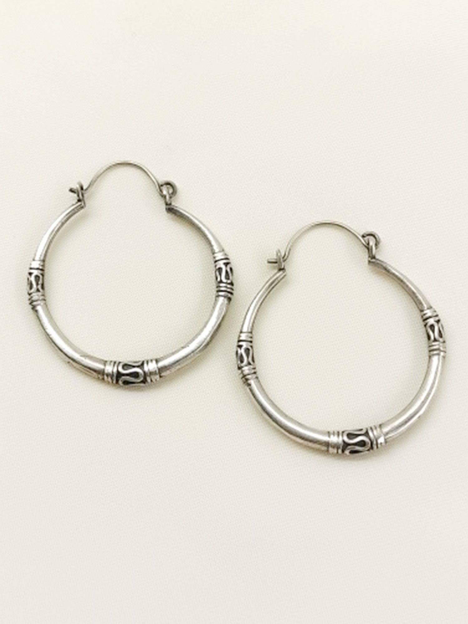 Aadhvita Plain Oxidized Earring