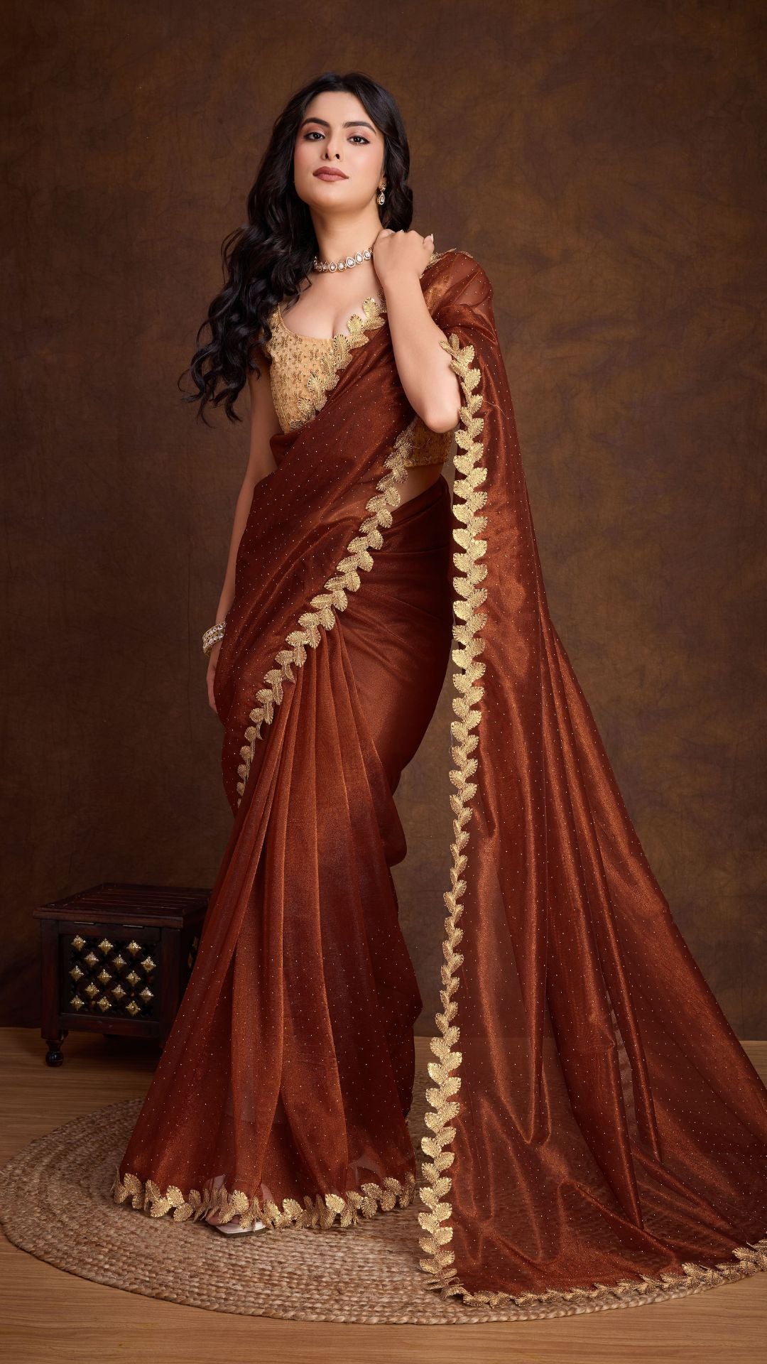 Brown Golden Attractive Cutwork Golden Sequins work lace Saree