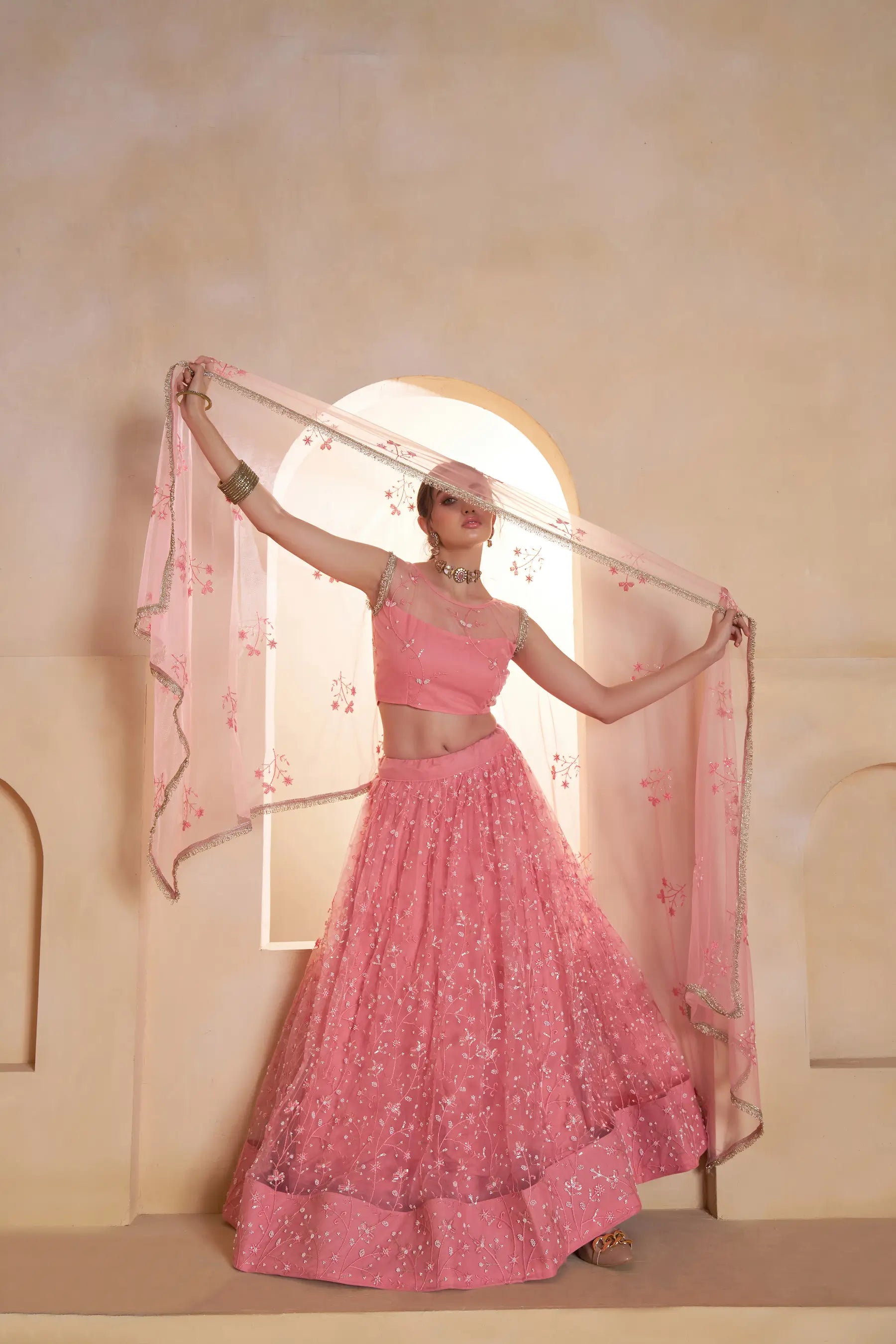 Blush Pink Net Embroidery Lehenga choli