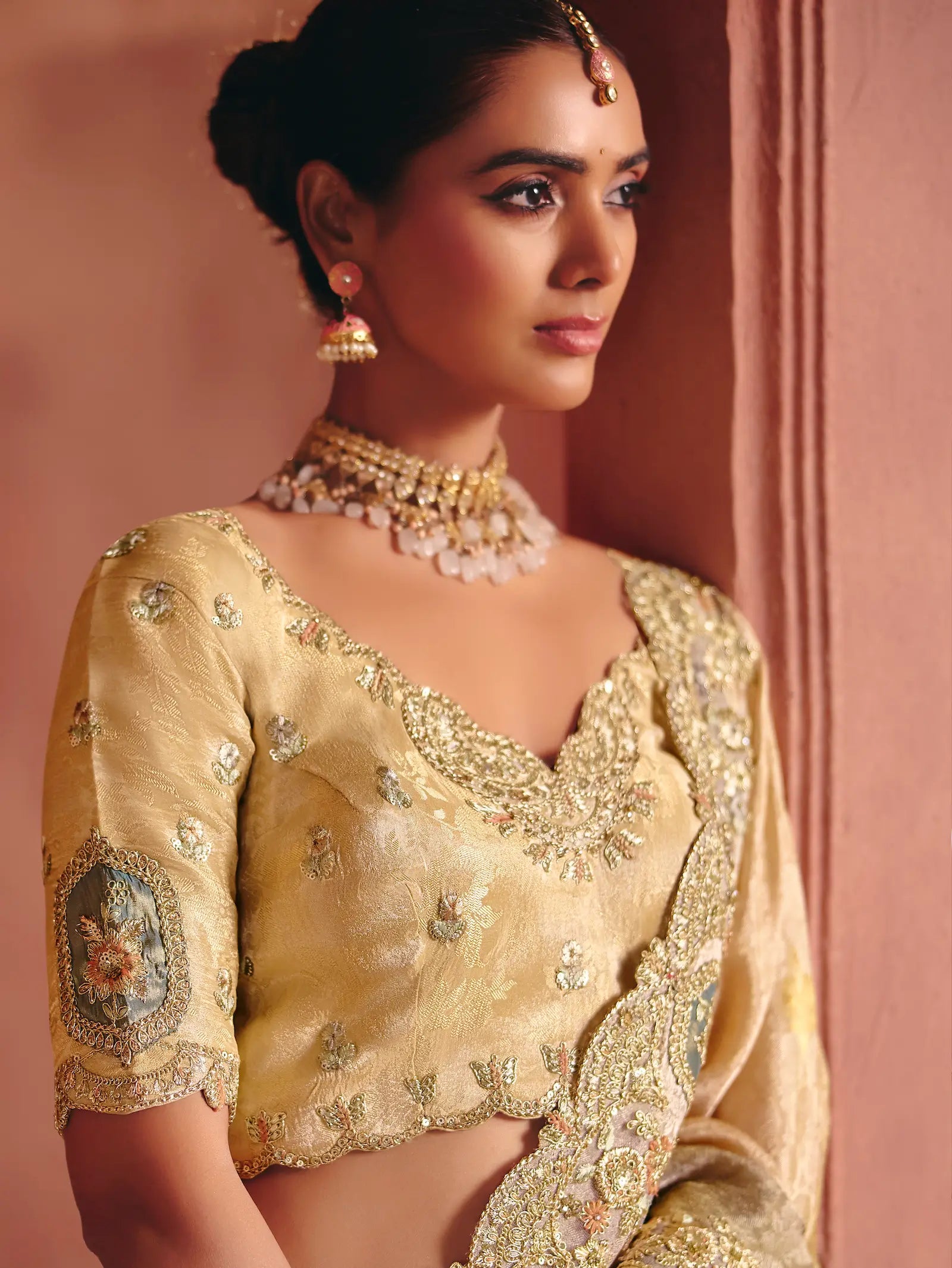 Beige-Brown Zari Silk Heavy Embroidery Saree