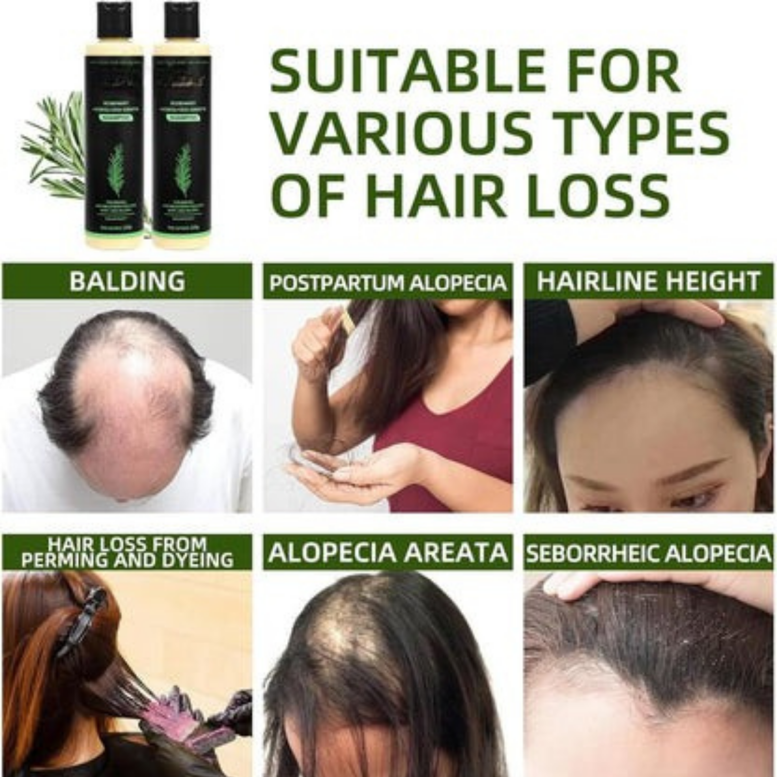 Rosemary Shampoo