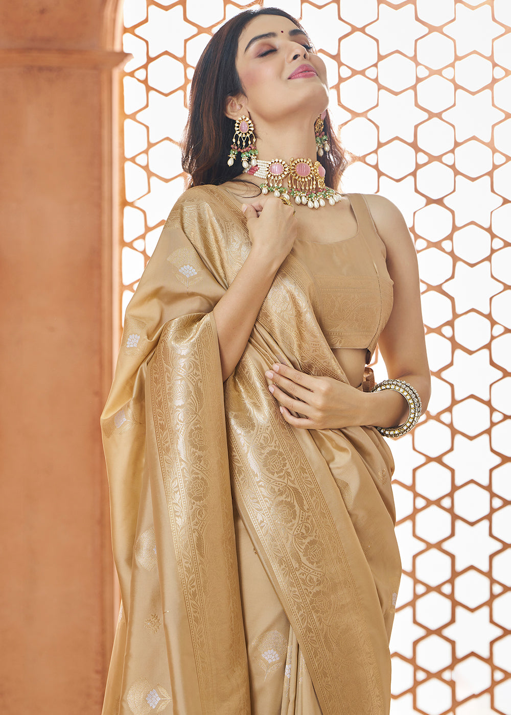 Beautiful light brown saree with intricate floral zari weaving and made from luxurious Banarasi silk fabric