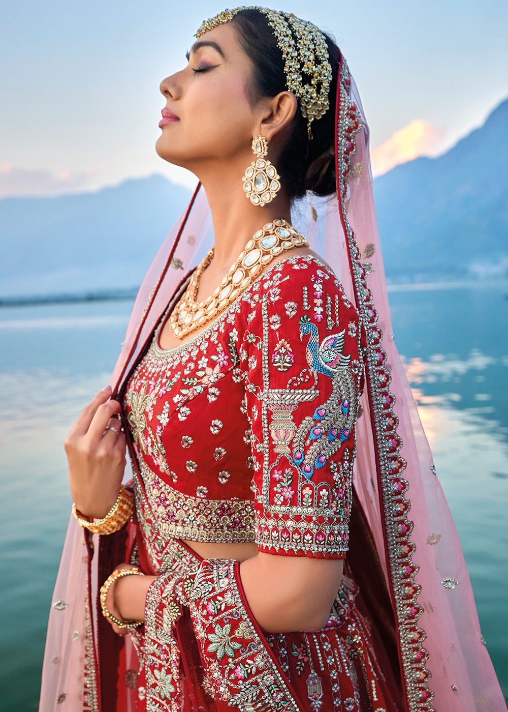 Carmine Red Banarasi Silk Bridal Lehenga Choli with Heavy Embroidery Work