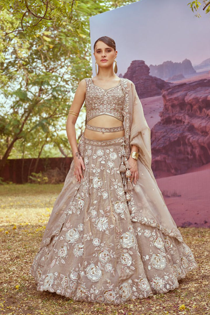 Beige Organza Sequins embroidery Semi-Stitched Lehenga choli & Dupatta