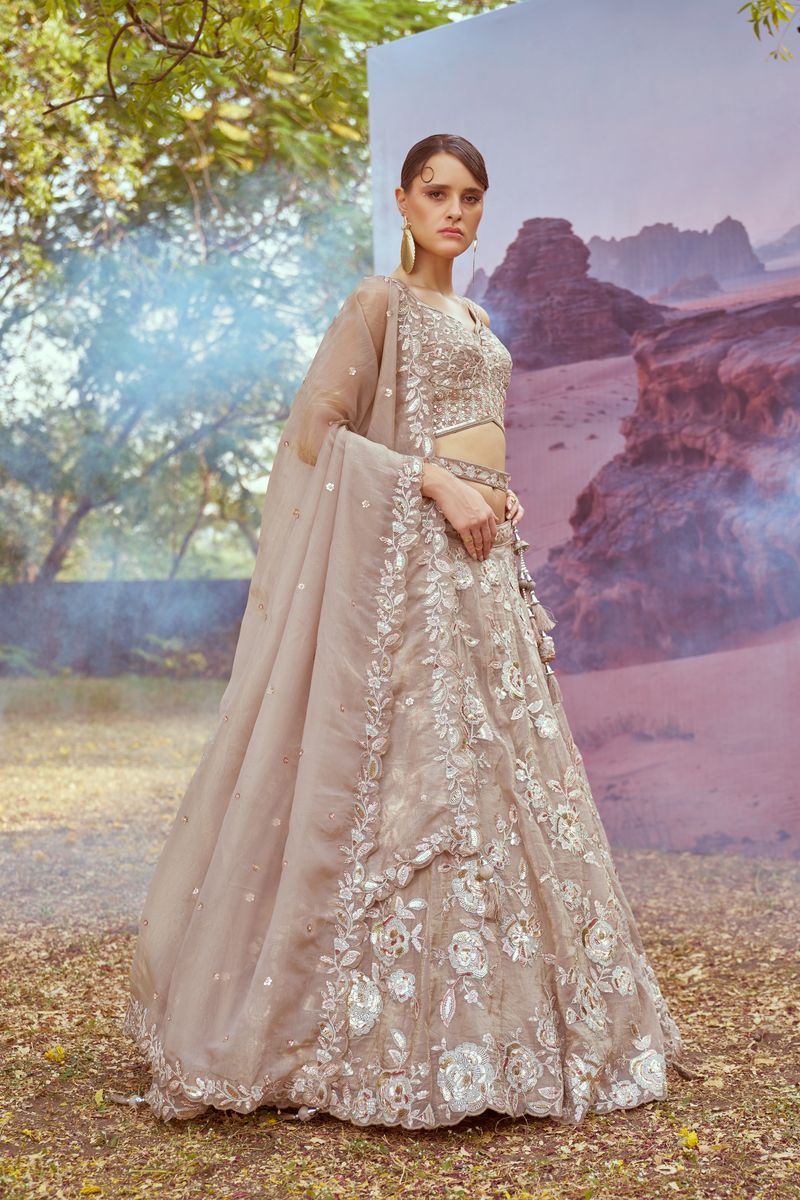 Beige Organza Sequins embroidery Semi-Stitched Lehenga choli & Dupatta