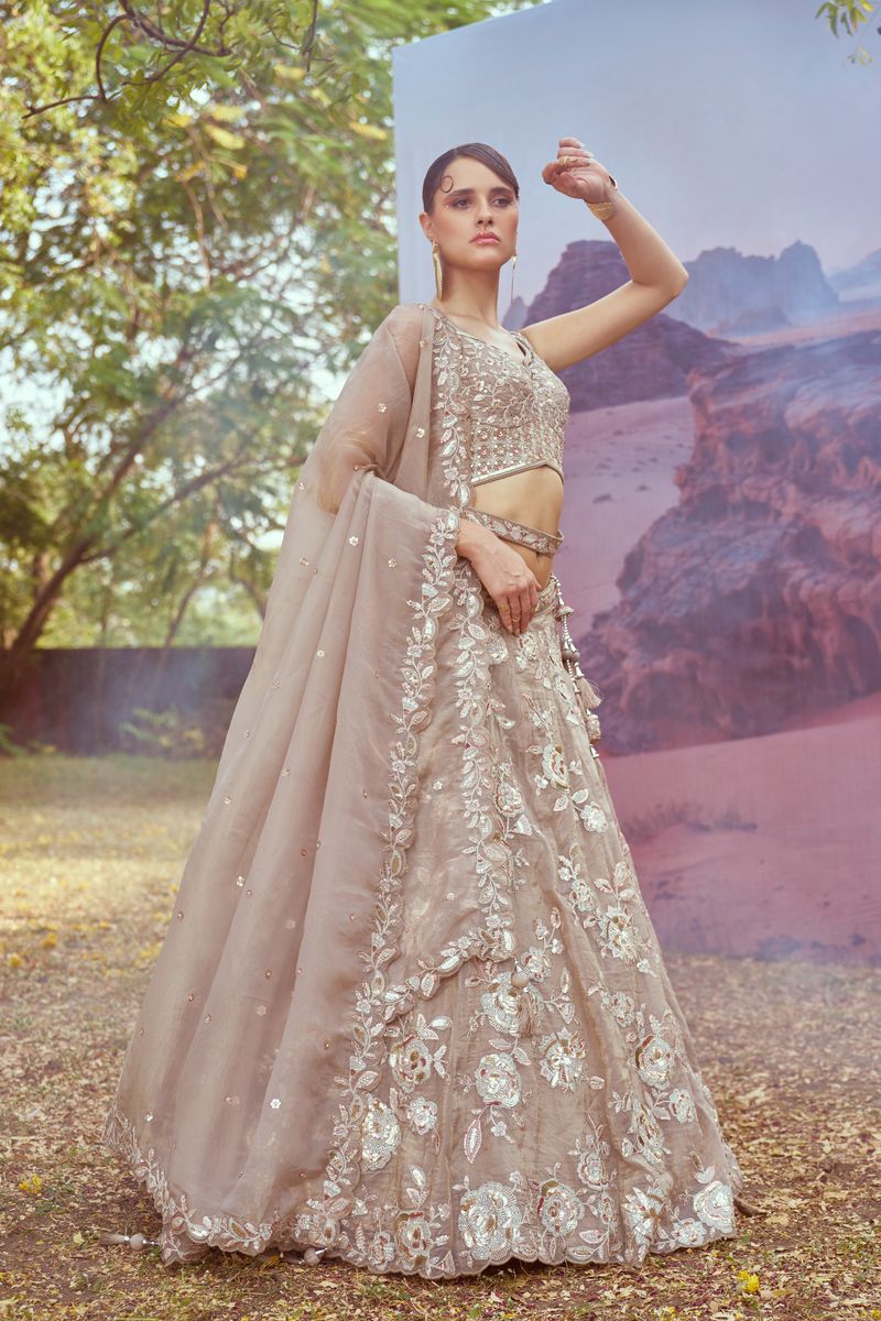 Beige Organza Sequins embroidery Semi-Stitched Lehenga choli & Dupatta