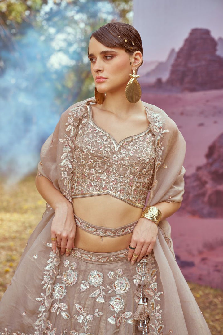 Beige Organza Sequins embroidery Semi-Stitched Lehenga choli & Dupatta