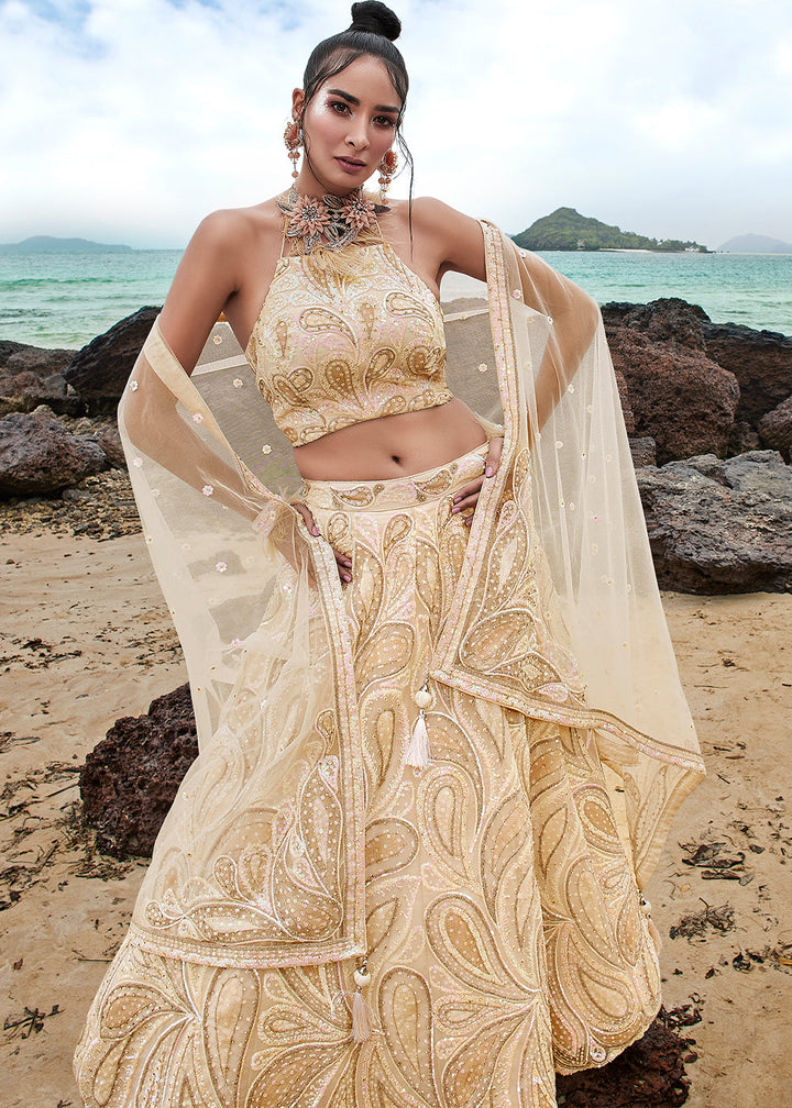 Cream White Net Designer Lehenga Choli with Zarkan Embroidery & Multi Sequins work