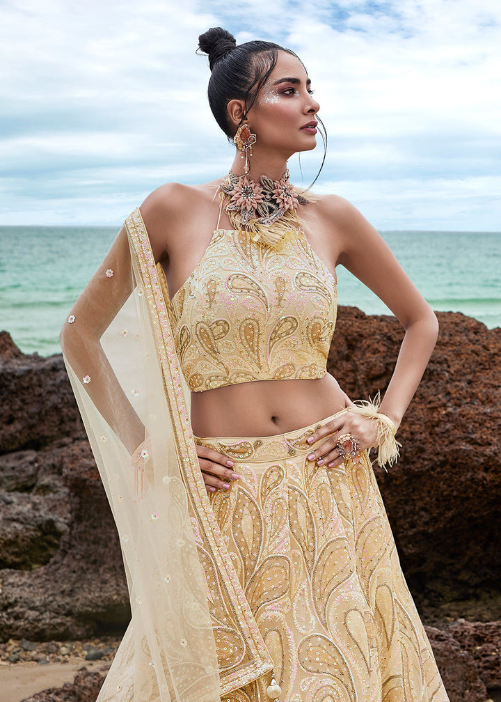 Cream White Net Designer Lehenga Choli with Zarkan Embroidery & Multi Sequins work