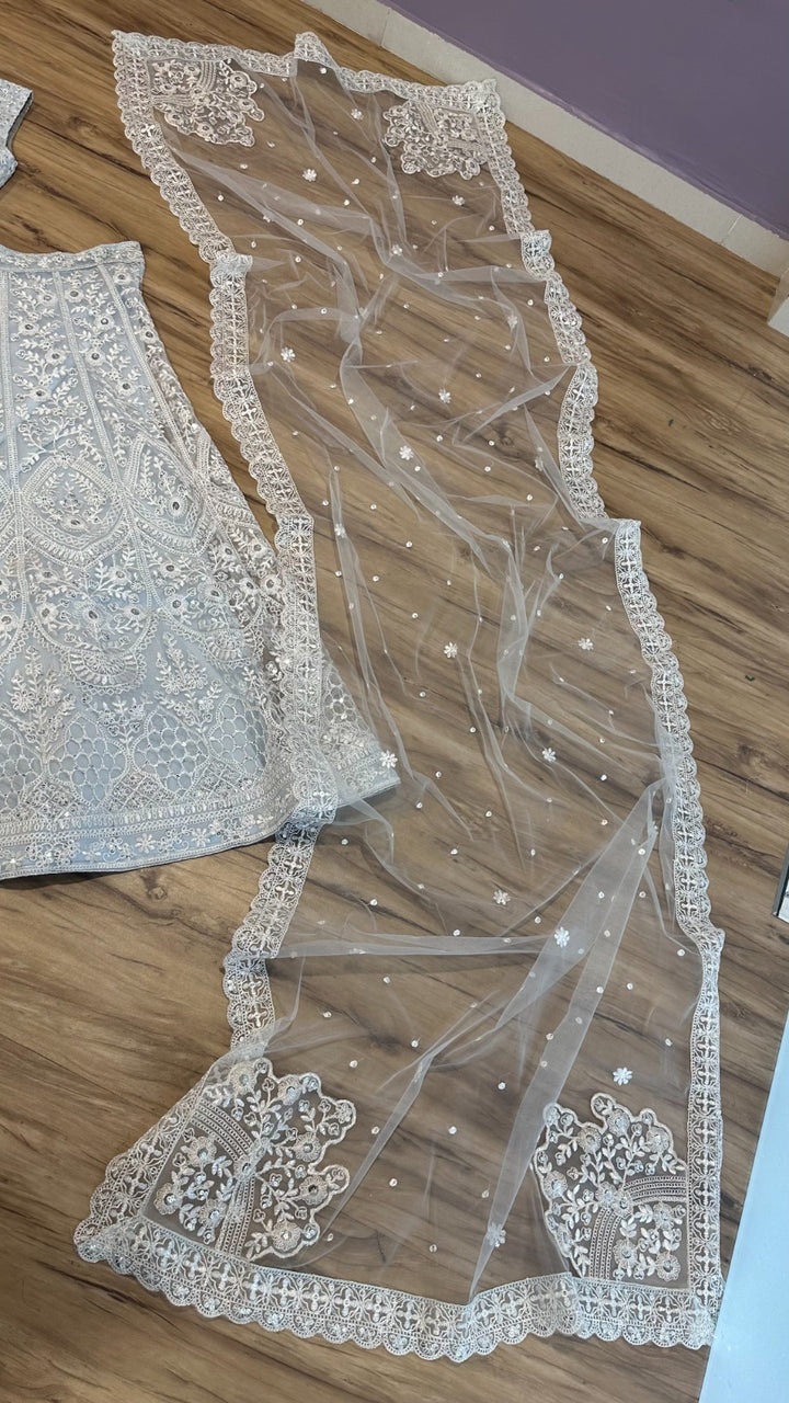 White Color  Net lehenga with sequins & thread work - INSPIRED