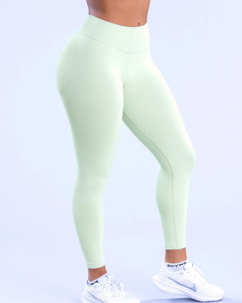 Women's Quick Drying Breathable Seamless Sports Yoga Pants  - By Qivii