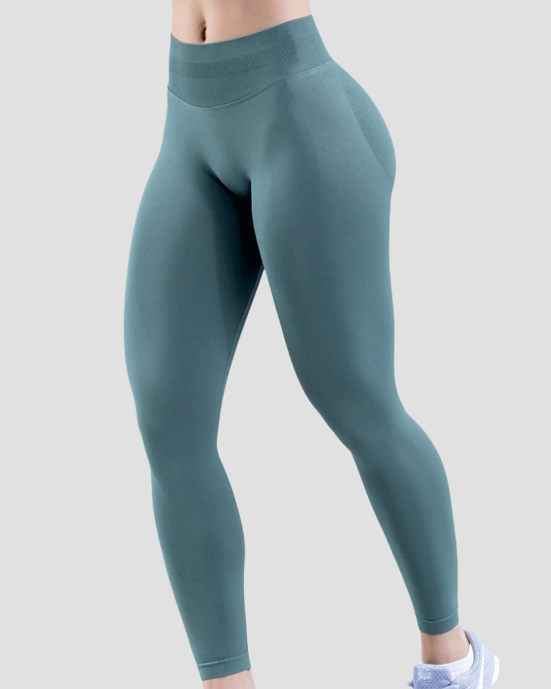 Women's Quick Drying Breathable Seamless Sports Yoga Pants  - By Qivii