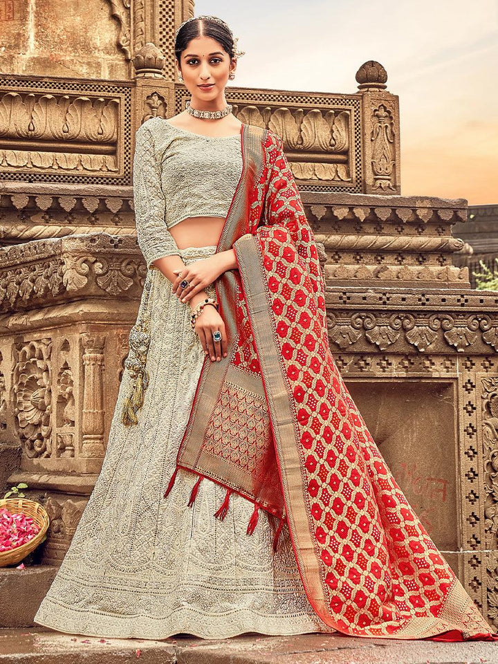 Light Grey Georgette Lehenga Choli Having Lucknowi work and Banarasi Dupatta - qivii