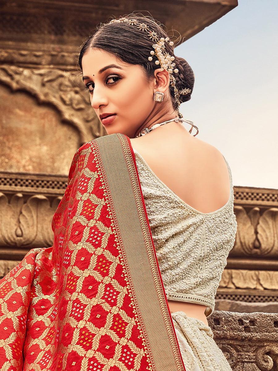 Light Grey Georgette Lehenga Choli Having Lucknowi work and Banarasi Dupatta - qivii