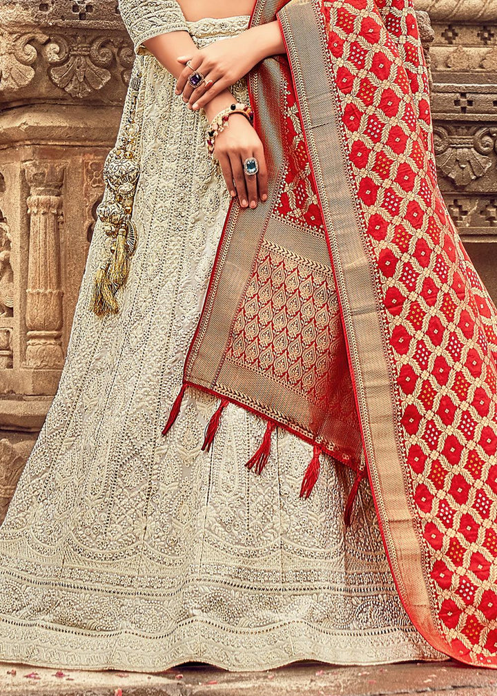 Light Grey Georgette Lehenga Choli Having Lucknowi work and Banarasi Dupatta - qivii