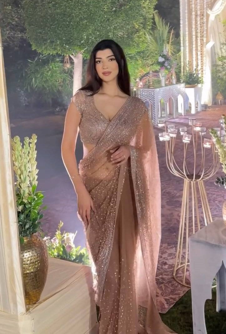 Brown Net saree with sequins & dori work - INSPIRED - qivii