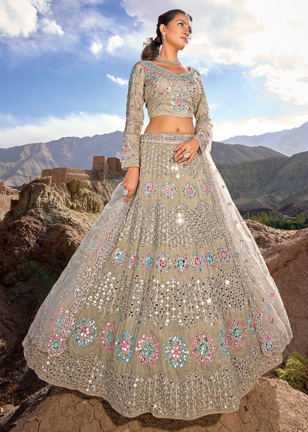 Tan Brown Organza lehenga Choli with Mirror,Zarkan & Cutwork - qivii