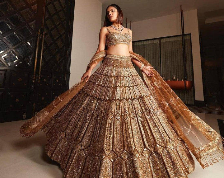 Sabyasachi Designer brown Lehenga Choli Embellished With Beautiful Shimmer Dori Work Wedding Lehenga Choli Party Wear Lehenga Choli - Uboric